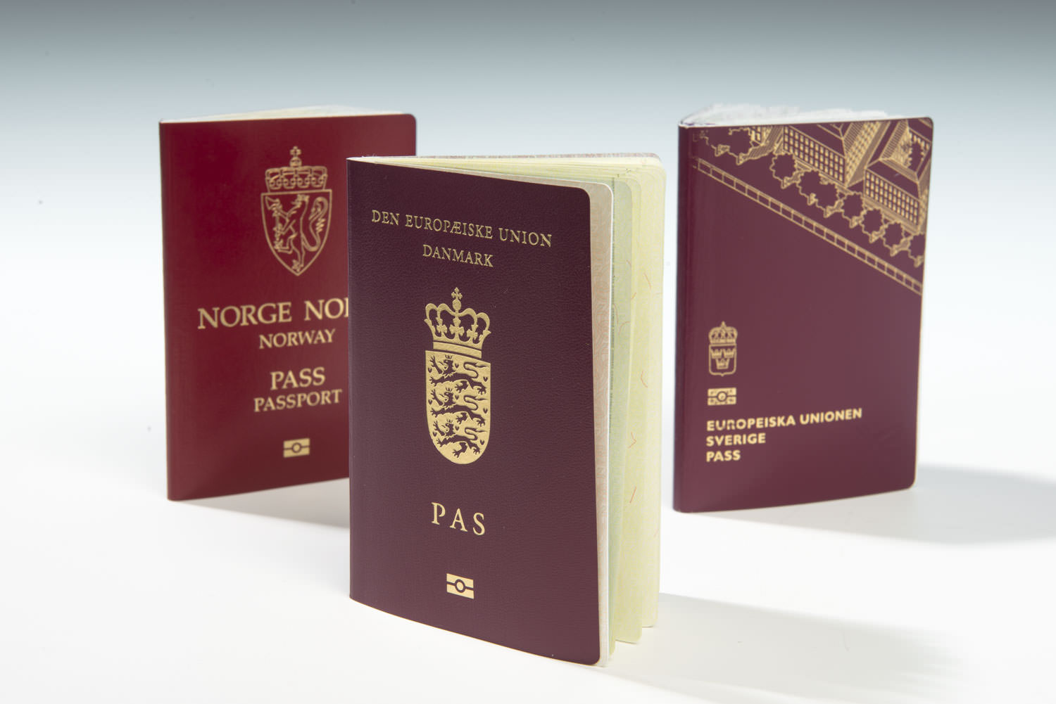 gov-multi-passports.jpg