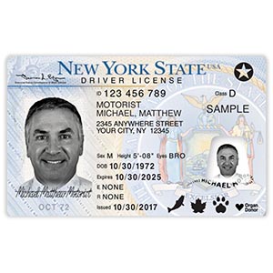 Driver Licenses Permits & ID Cards