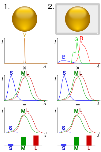 330px-Metamerism_spectrum_example.svg.png