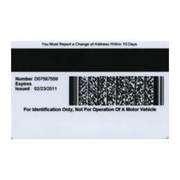 MAGNETIC STRIPE